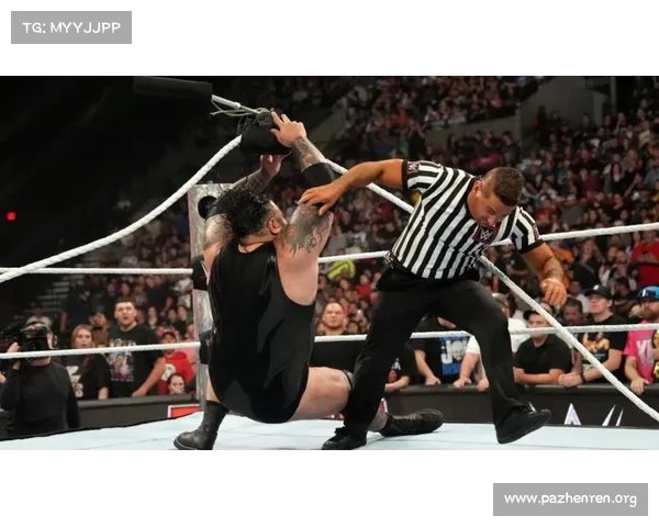 WWE摔跤赛激情四射激烈对抗明星对决掀起全球观众热潮