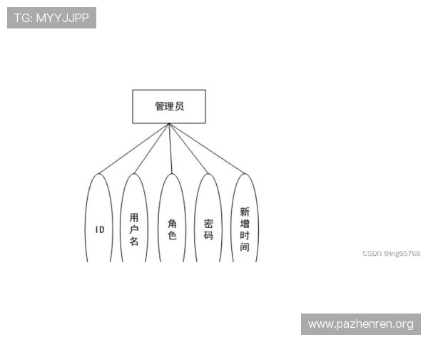 基于CS2职业联赛数据拆解打造保姆级高返水平台指南核心逻辑与实战价值